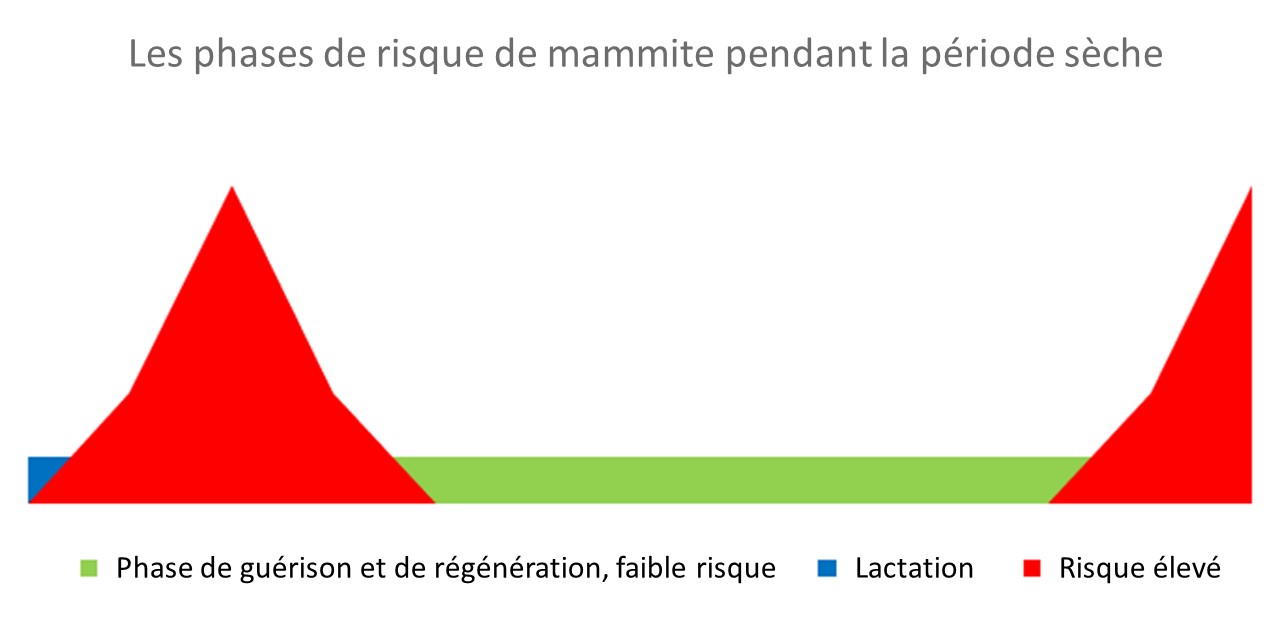 grafik 1