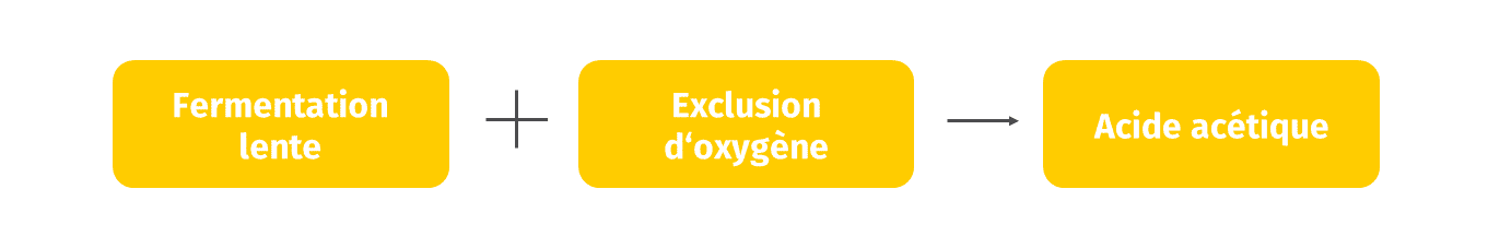 JOSERA Les raisons pour une multiplication exponentielles des entérobactériacées