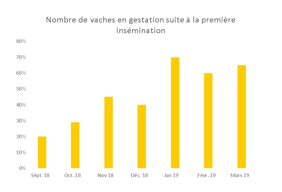 Graphiken Thode Trächtigkeitsrate FR JOSERA - nombre de vaches en gestation