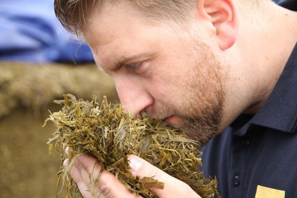 Le contrôle sensoriel du silo – Reconnaître et traiter les symptômes suite à de mauvaises fermentations