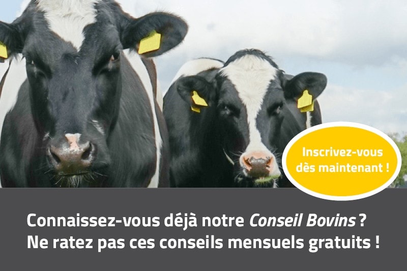 JOSERA, conseil bovins