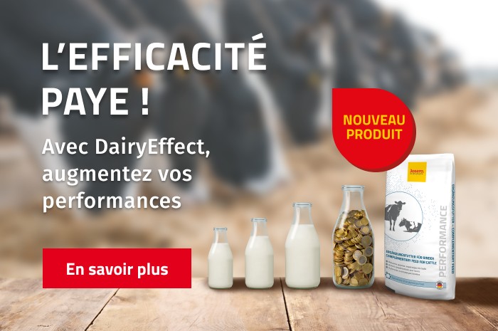JOSERA DairyEffect