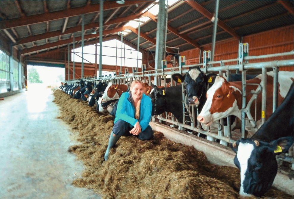 JOSILAC - conservateurs d'ensilage pour un fourrage de haute qualité