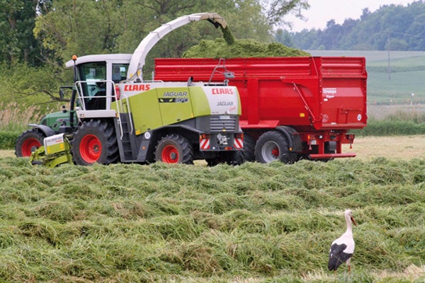 Pas à pas vers un bon ensilage